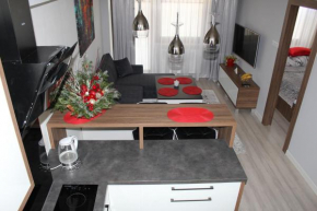 apartament rodzinny Krynica